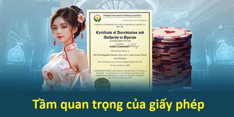 Những lý do giải thích tầm quan trọng của các giấy phép hoạt động