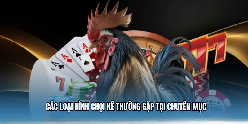 Đá Gà KUBET – Trải Nghiệm Chọi Kê Trực Tuyến Thú Vị 